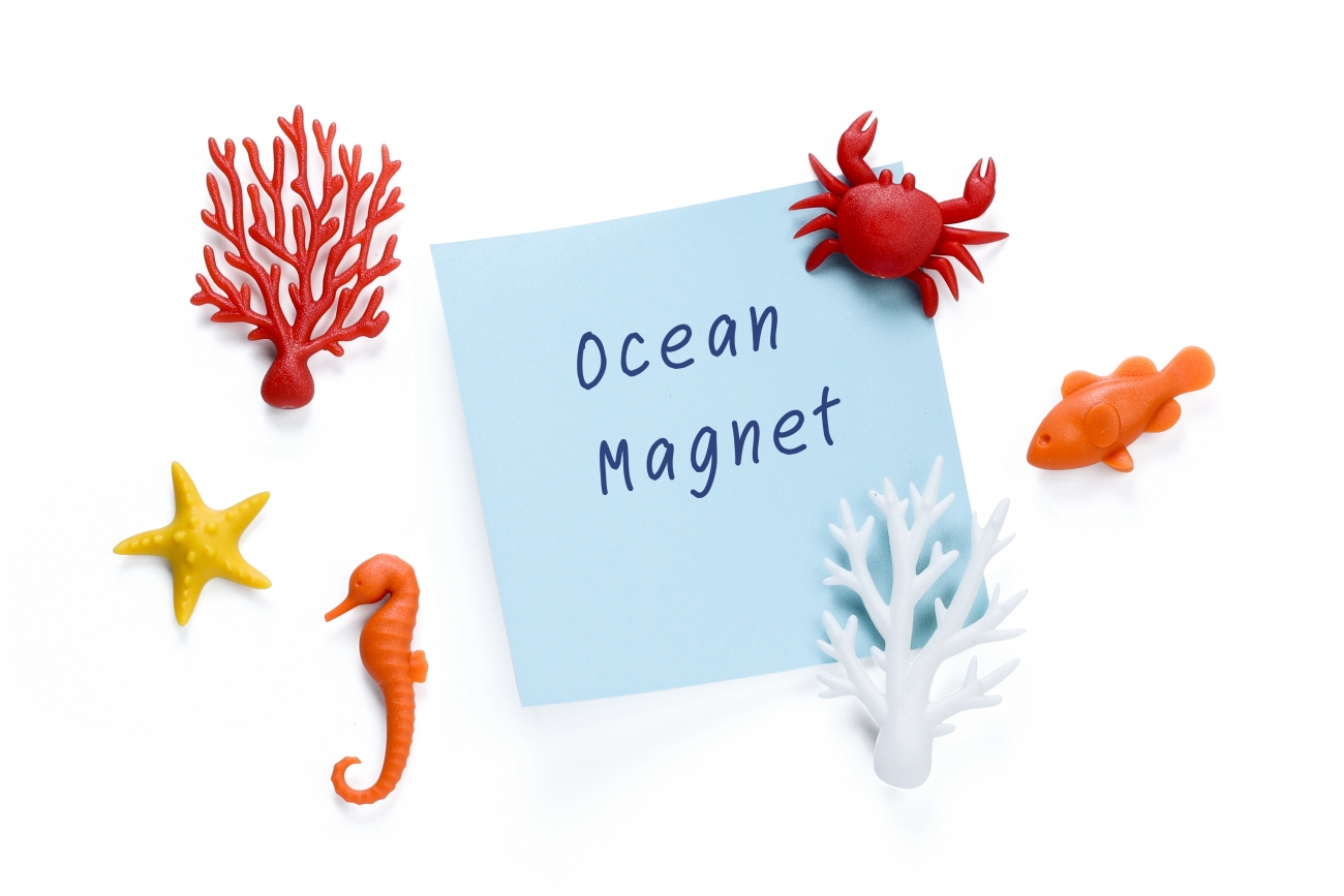 OCEAN ECOLOGY MAGNETS